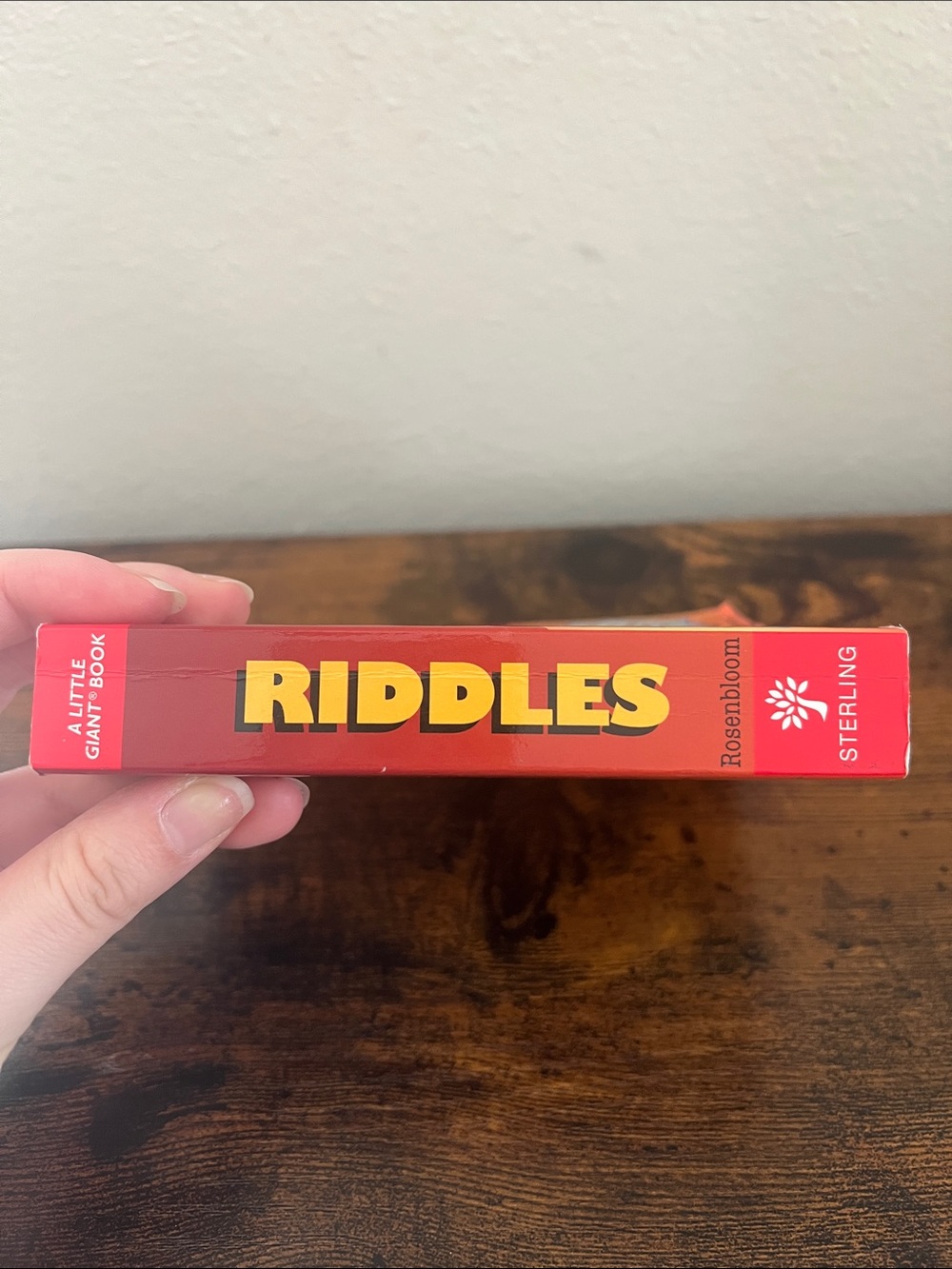 Little Giant Riddles Book Gift Kids - Picture 5 of 13